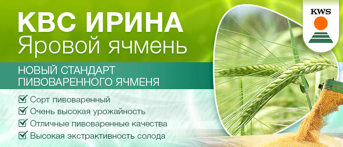KWS ИРИНА